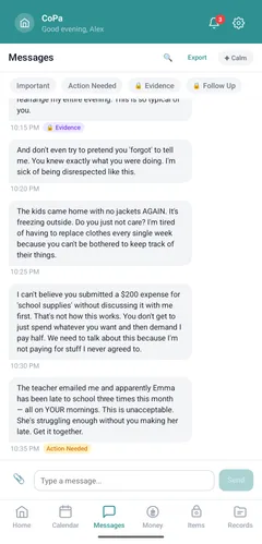 Original unfiltered messages from a co-parent showing hostile tone